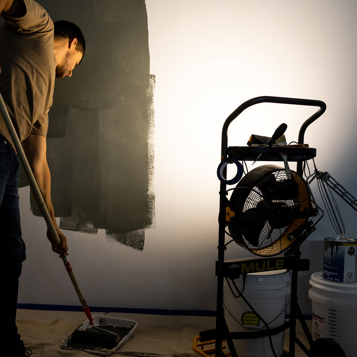 Shedding Light on Lumens: Brighten Up Your Workspace